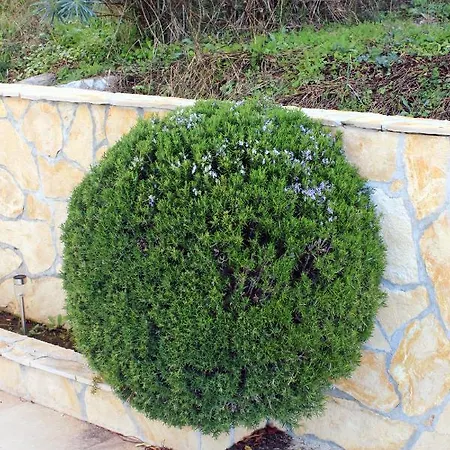 With A Parking Space Okrug Gornji, Ciovo - 9441